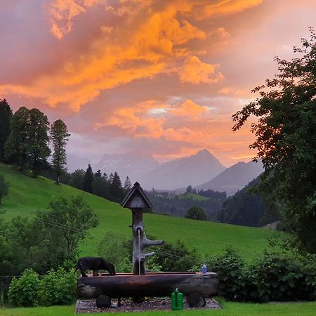Biobauernhof Schoettelbauer Rosenau am Hengstpass Buitenkant foto