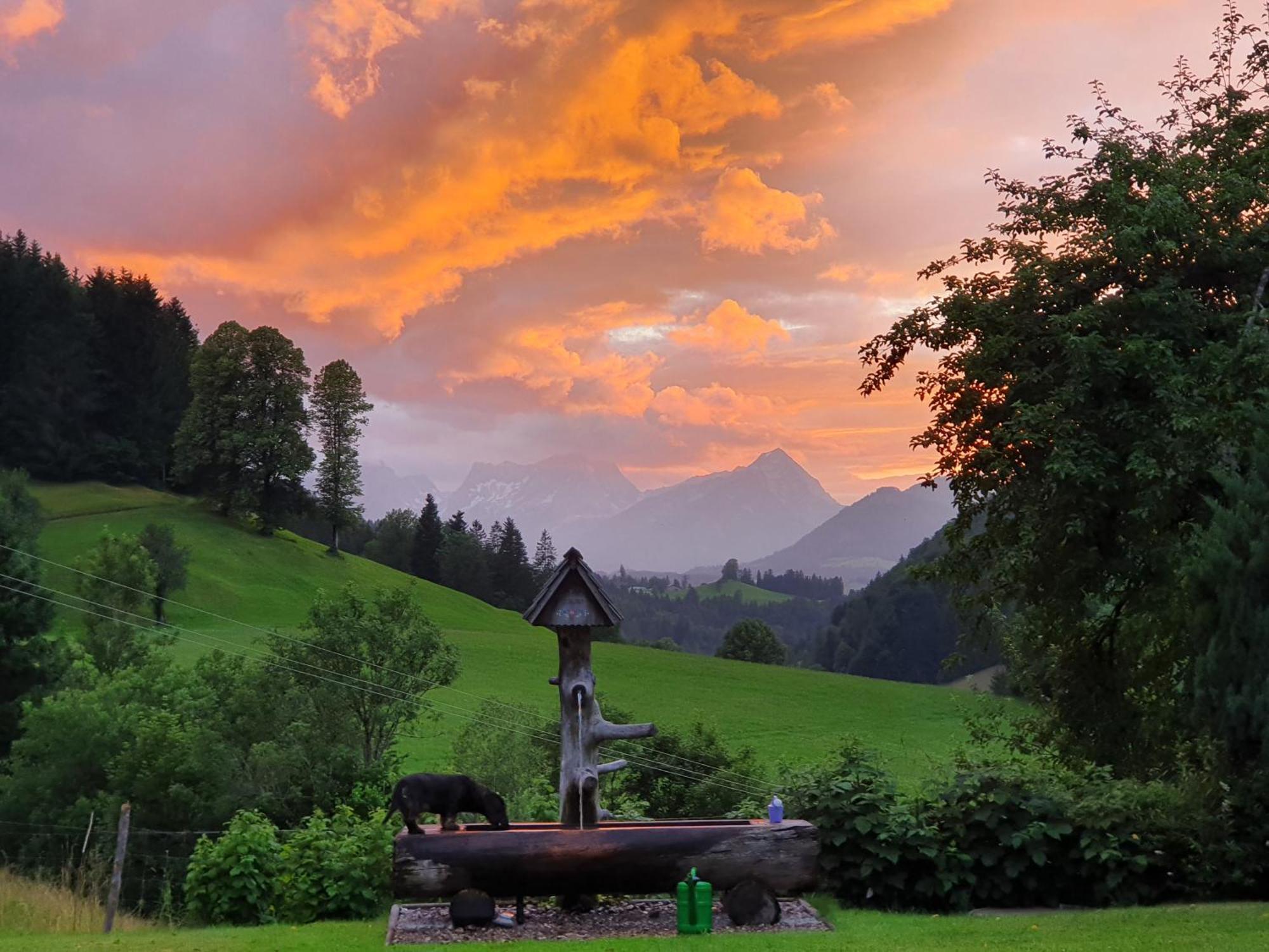 Biobauernhof Schoettelbauer Rosenau am Hengstpass Buitenkant foto