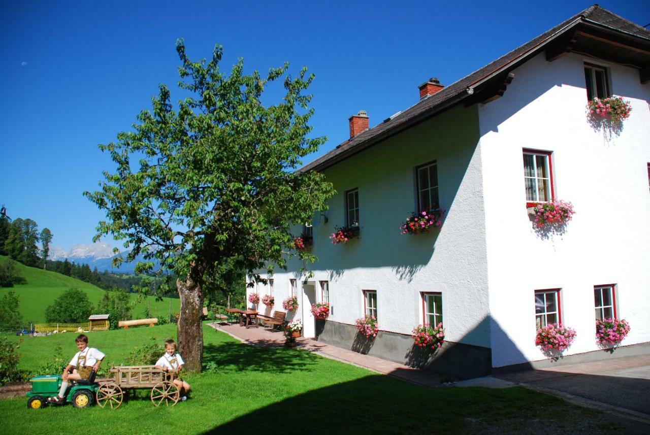 Biobauernhof Schoettelbauer Rosenau am Hengstpass Buitenkant foto